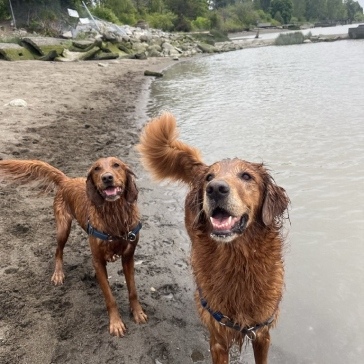 Fraser-River-Park-img1