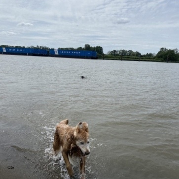 Fraser-River-Park-img10