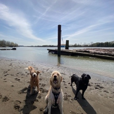 Fraser-River-Park-img12
