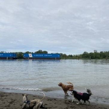 Fraser-River-Park-img13