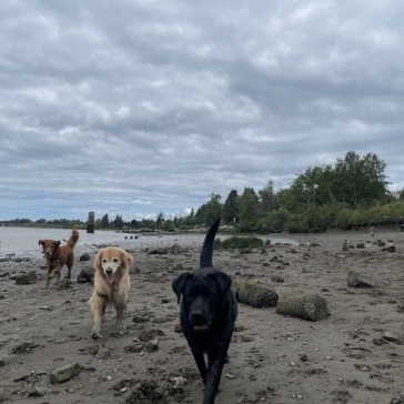 Fraser-River-Park-img14