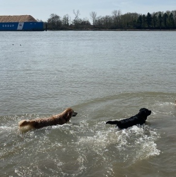 Fraser-River-Park-img15