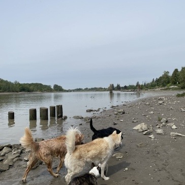 Fraser-River-Park-img18