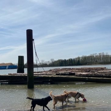 Fraser-River-Park-img19