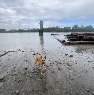 Fraser-River-Park-img20