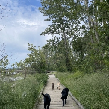 Fraser-River-Park-img22