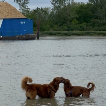 Fraser-River-Park-img23