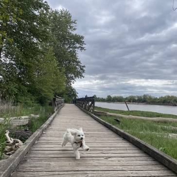 Fraser-River-Park-img24