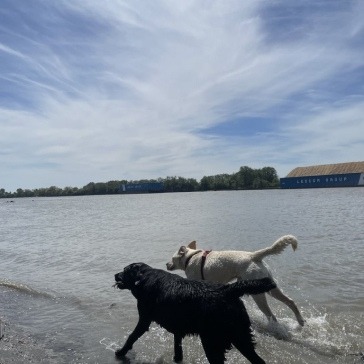 Fraser-River-Park-img25