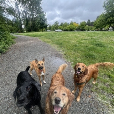 Fraser-River-Park-img27