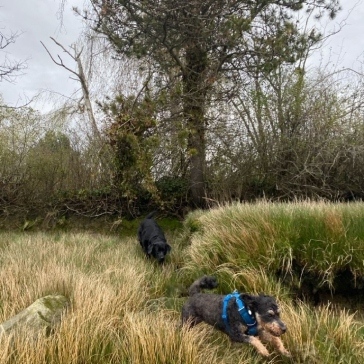 Fraser-River-Park-img28