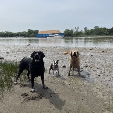 Fraser-River-Park-img29