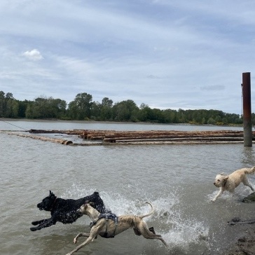 Fraser-River-Park-img4