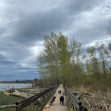 Fraser-River-Park-img5