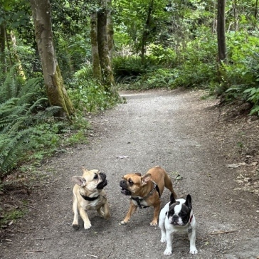 Pacific-Spirit-Regional-Park-img19