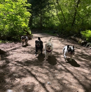 Pacific-Spirit-Regional-Park-img25