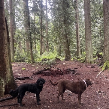 Pacific-Spirit-Regional-Park-img5