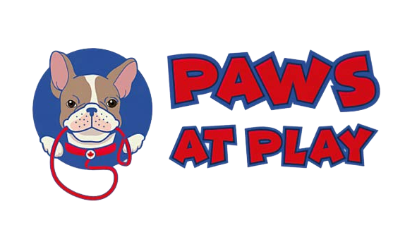 paws at play logo transparent bg