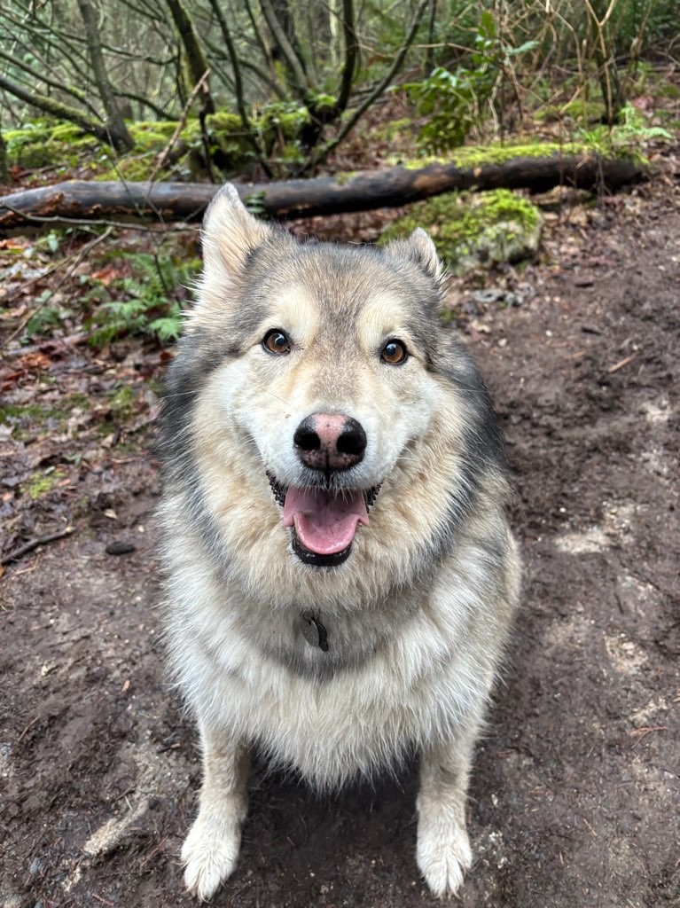 Lucy profile picture